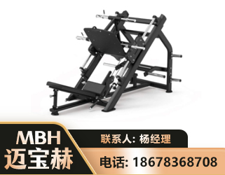仙桃45°倒蹬训练器