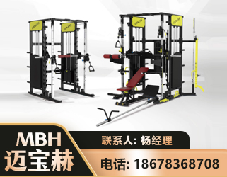 仙桃多功能综合训练器