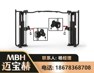 仙桃大飞鸟训练器