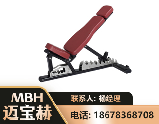 仙桃可调哑铃椅
