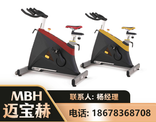 仙桃商用动感单车