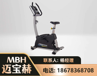 仙桃立式健身车